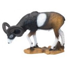 SRT Mouflon Grazing :  ST93